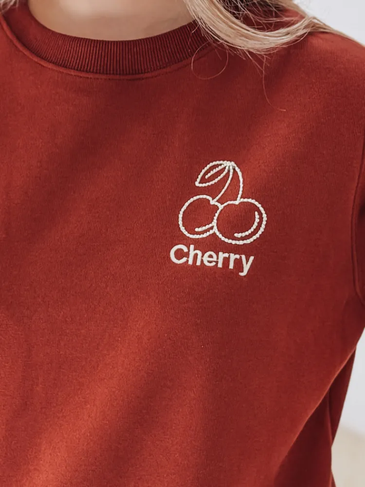 Bluzy Damskie>Dstreet Bluza damska oversize z haftem CHERSOFT ceglana BY1398