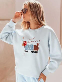 Bluzy Damskie>Dstreet Bluza damska oversize z haftem DOGSWEETY niebieska BY1479