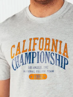 Koszulki Męskie>Dstreet Koszulka męska z nadrukiem szara RX5388