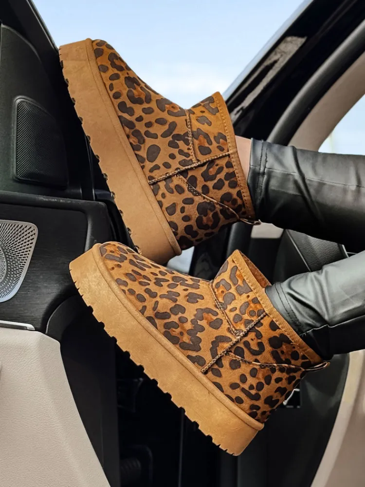 Botki>Dstreet Śniegowce damskie BRINETTO pantera ZY0572